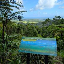 Ausblick vom Alexandra Lookout