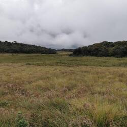 Horton Plains