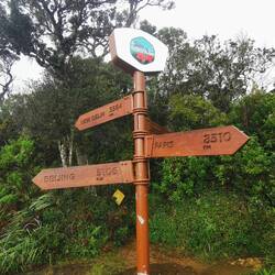 Wegweiser in die Welt