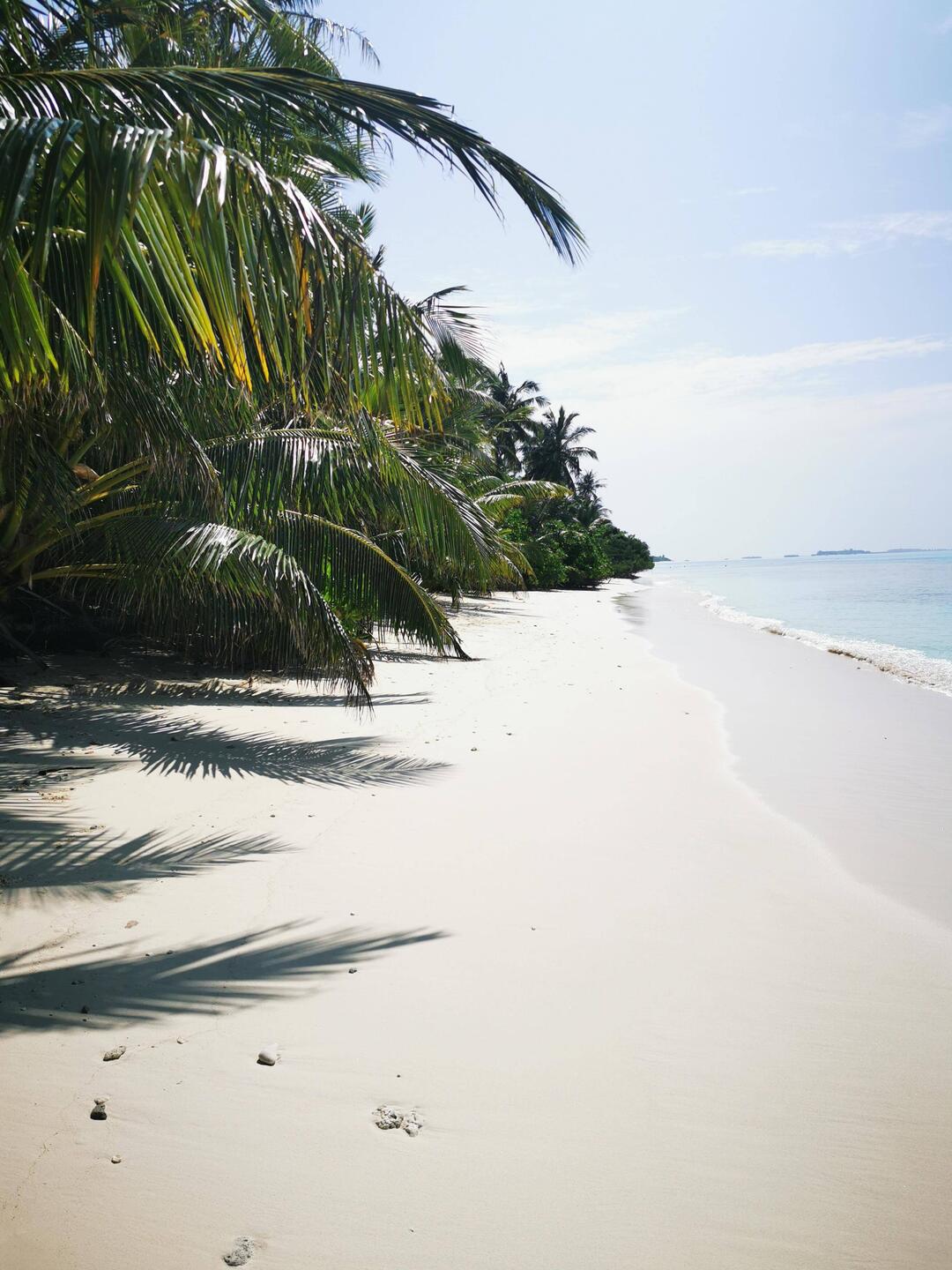Der Bikini-Beach