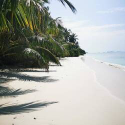 Der Bikini-Beach