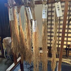 Many different varieties/qualities of rice from which Sake is made.
