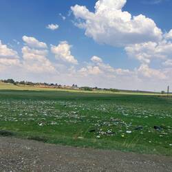 Viel Müll direkt vor der Stadt