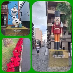 Weihnachtsdeko überall