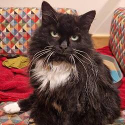 Feeling a bit sorry for himself