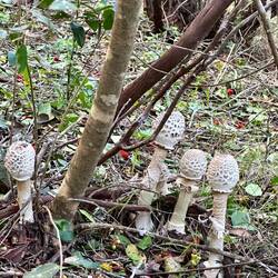 Und da waren noch viel mehr 🙈