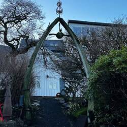 So einen Eingang aus Walfischknochen sieht man auch nicht oft