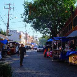 las calles de coyoacan