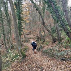 Wunderbare Herbststimmung bei 17°