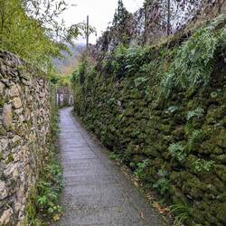 A mossy path with little signage that I kept following