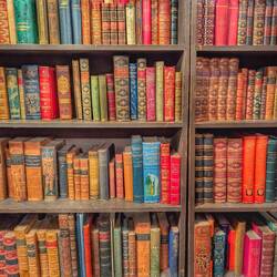 In the library