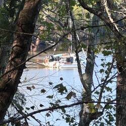 Anchored in the river by the park boat ramp