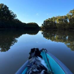 Lots to paddle in Three Rivers Lake.
