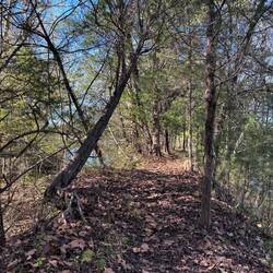 A berm between the river and the quarry