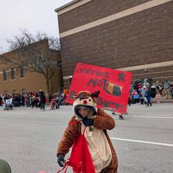 Grandma got run over by reindeer protest signs