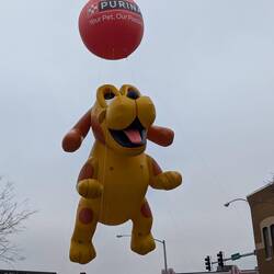 Purina factory in town gave out bags of dog treats