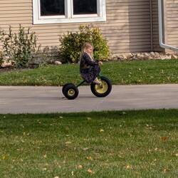 Everyone drives a tractor in pink shoes