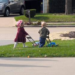 Cousins mowing