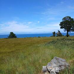 Lake Taupo