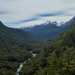 Hollyford Valley Lookout