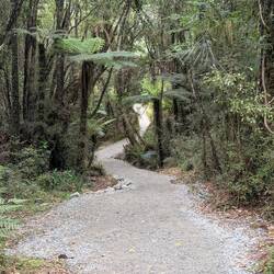 All gravel paths but seem to be well maintained