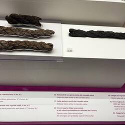 Possibly the anchor rope.