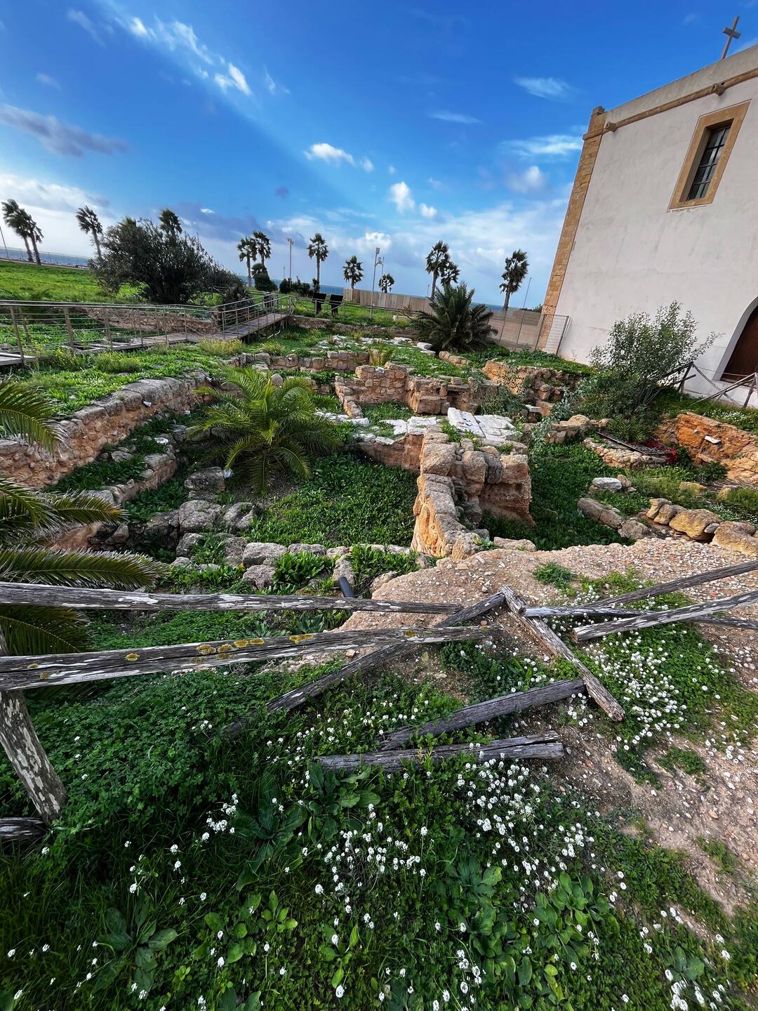 Venus / Aphrodite excavations