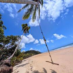 Und Schnur mit einem Stock