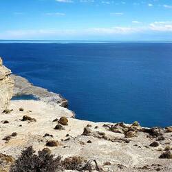 Whale watching point.