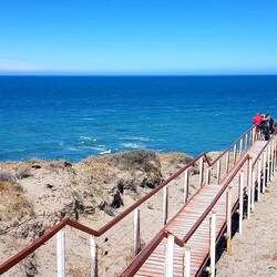 Observation platform.