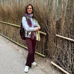 Arashiyama Bamboo Forest