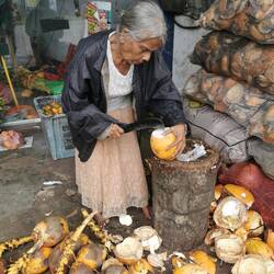 Eine letzte King Coconut