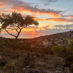 ..nicht nur die Sonne, sondern auch der Display Gute Nacht sagt 🌙