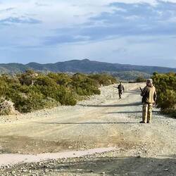..weiter, und komme immer mal wieder an Jäger vorbei - das hier überall Jagdverbot herrscht..