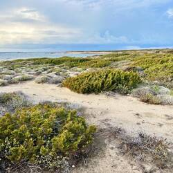 Noch weiß ich aber nichts vom zu erwartenden Unglück, und schlendere..