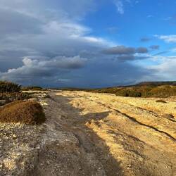..scheint aber selbst im Nationalpark niemanden zu kümmern 🤷🏼‍♂️