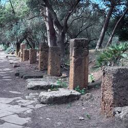 The Cardo Maximus or Main Street of Tipasa