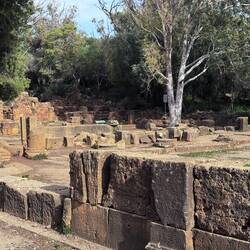 Remains of Shops Along the Cardo of Tipasa