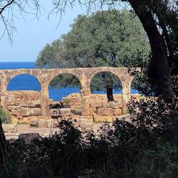 The Christian Basilica