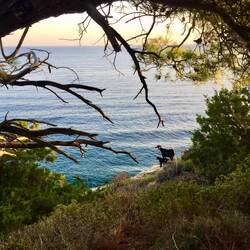 Mein persönliches Morgenhiglight ist allerdings dieses Mutter-Kind-Gespann 😌