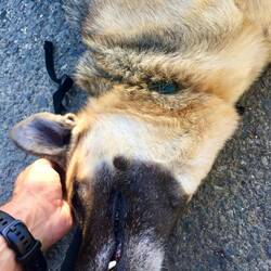 ..dafür aber viel was besseres 🥰