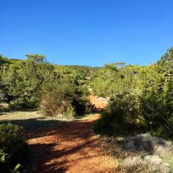 Zurück am Startpunkt folge ich dem Aphroditetrail, der..