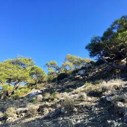 Ich biege ab in Richtung Süden, wo sich nur selten schattenspendende Bäume..