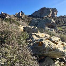 Mit ihr jedoch ebenso die..