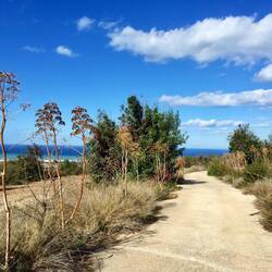 ..ich nicht immer weiß, ob ich am richtigen Pfad bin.