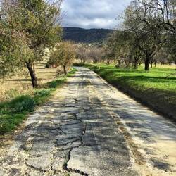 Nach der Einladung der lieben Frau, führt mein Weg..