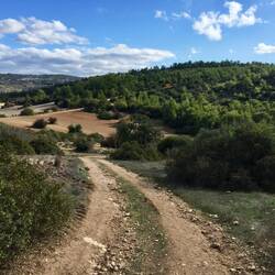 Nach ewig langem Gang, findet..