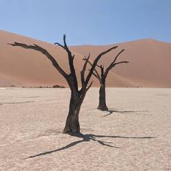 Der Boden ist durch getrockneten Schlamm wie gepflastert