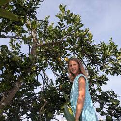 direkt aus dem Garten