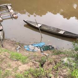 Als wir vom Schnellboot abgeholt werden, werden wir von Schmetterlingen verabschiedet